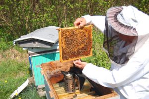 Imker met bijen