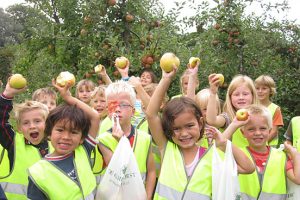 Appels plukken Landgoed Olmenhorst