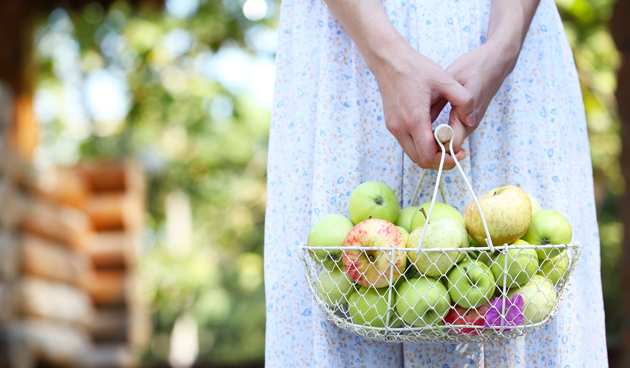 Appels en peren oogsten uit eigen tuin