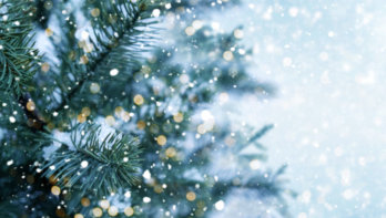 5 tips voor een duurzame kerst